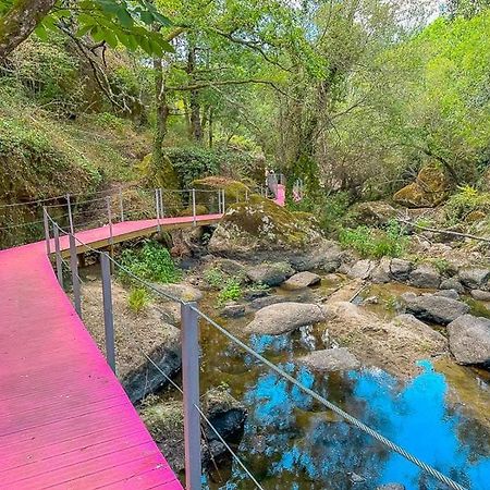 Tábua Casa Trilho The Gaios Bed & Breakfast エクステリア 写真