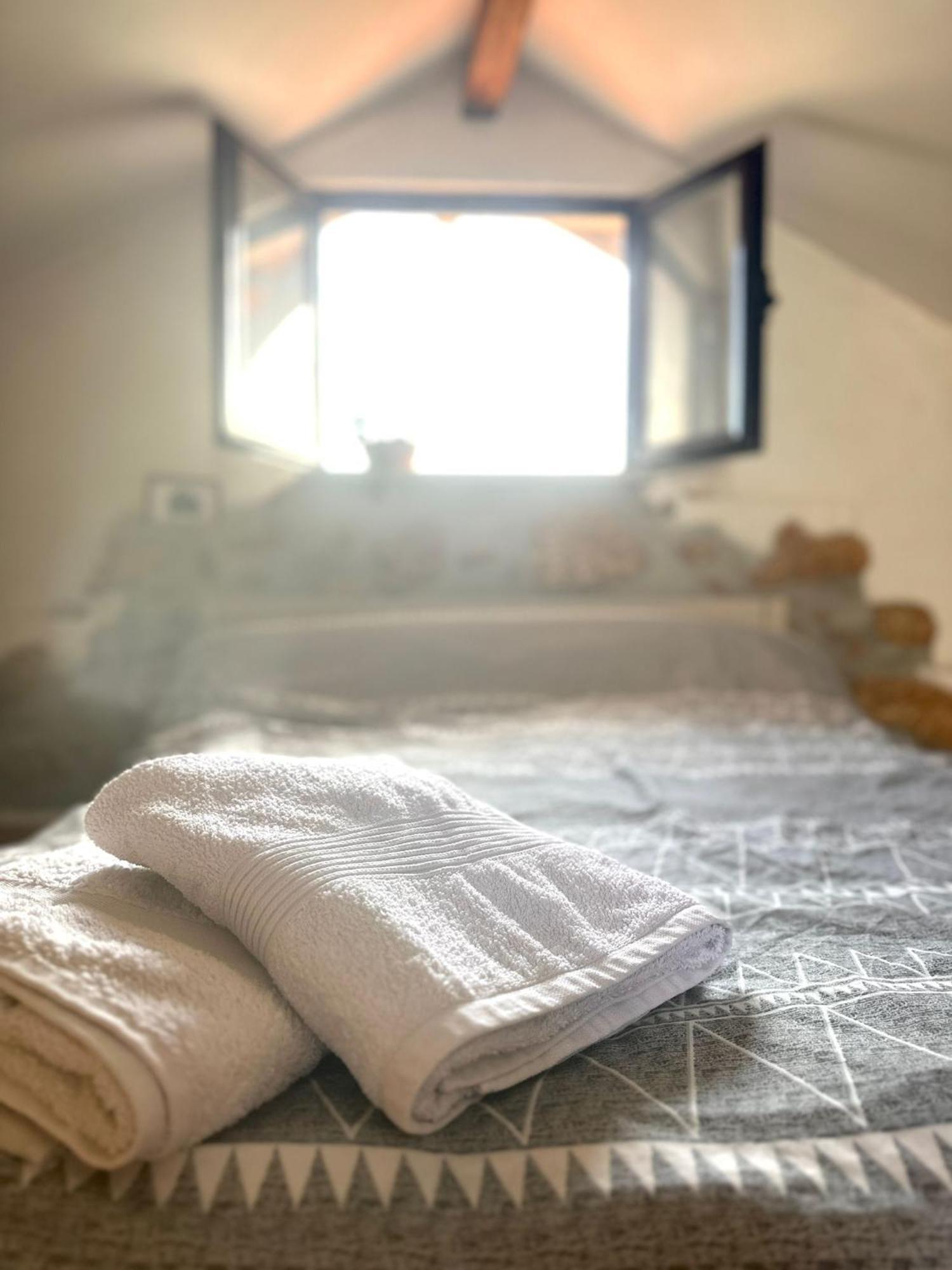 Tábua Casa Trilho The Gaios Bed & Breakfast エクステリア 写真