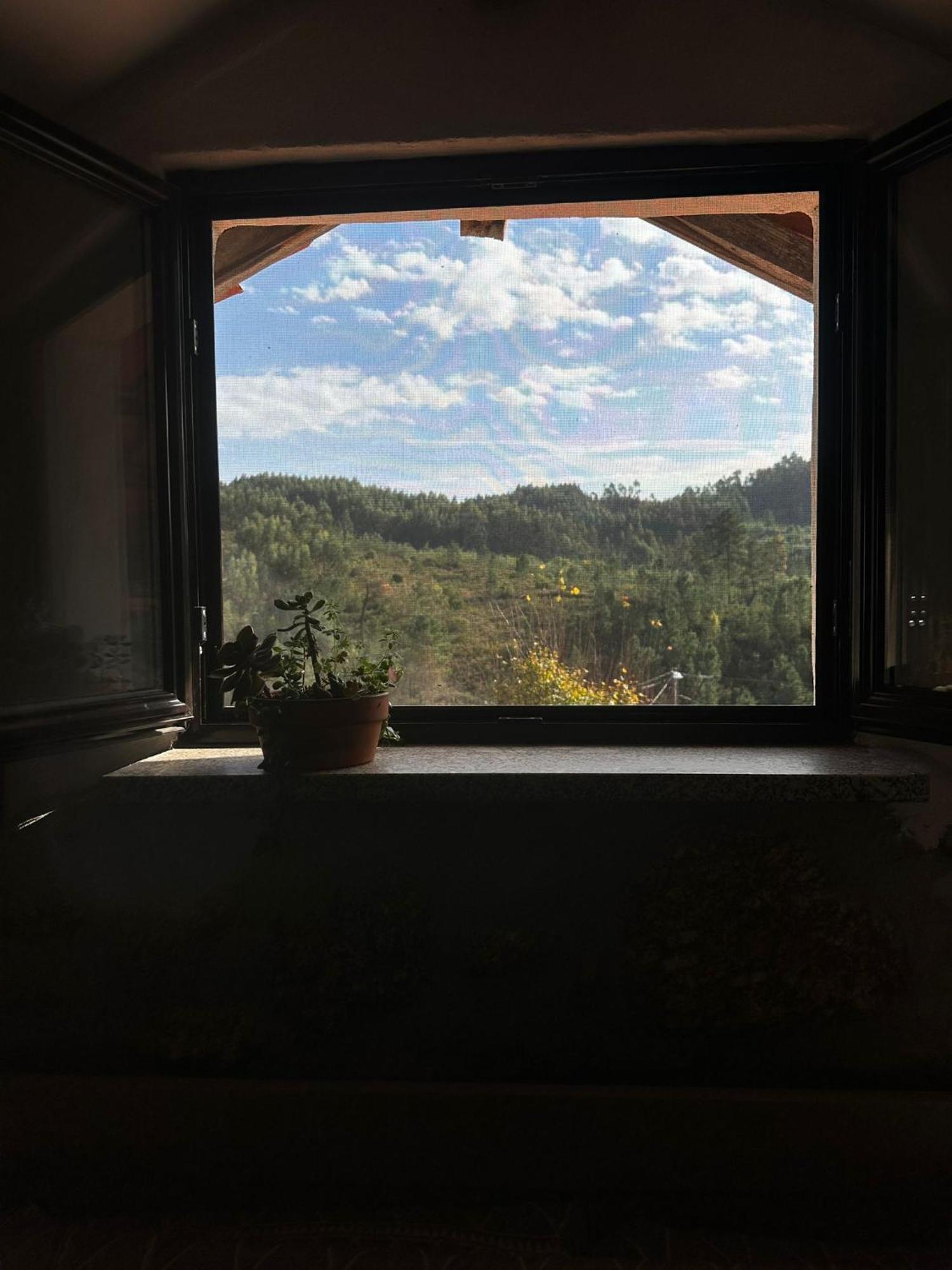 Tábua Casa Trilho The Gaios Bed & Breakfast エクステリア 写真