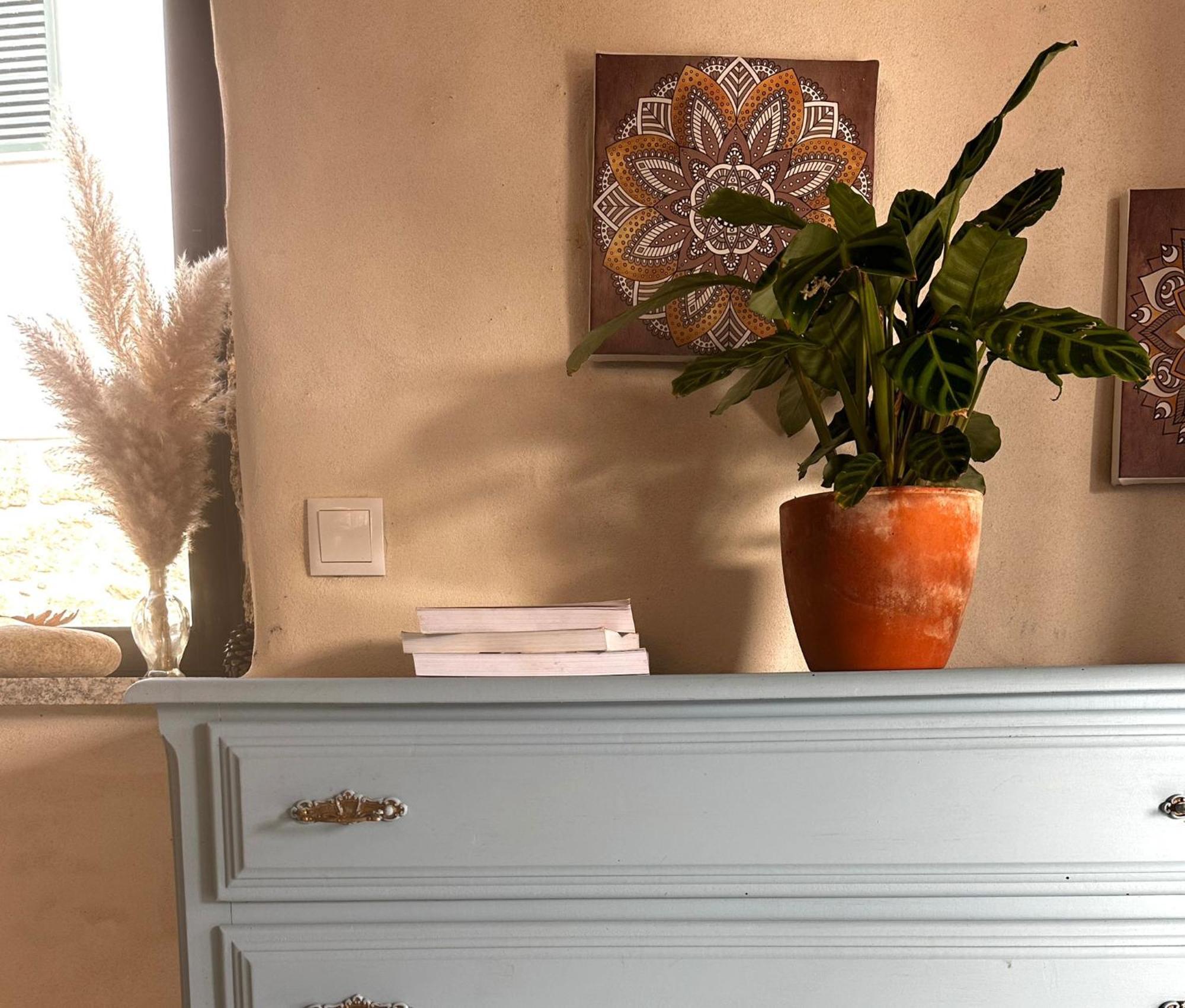 Tábua Casa Trilho The Gaios Bed & Breakfast エクステリア 写真