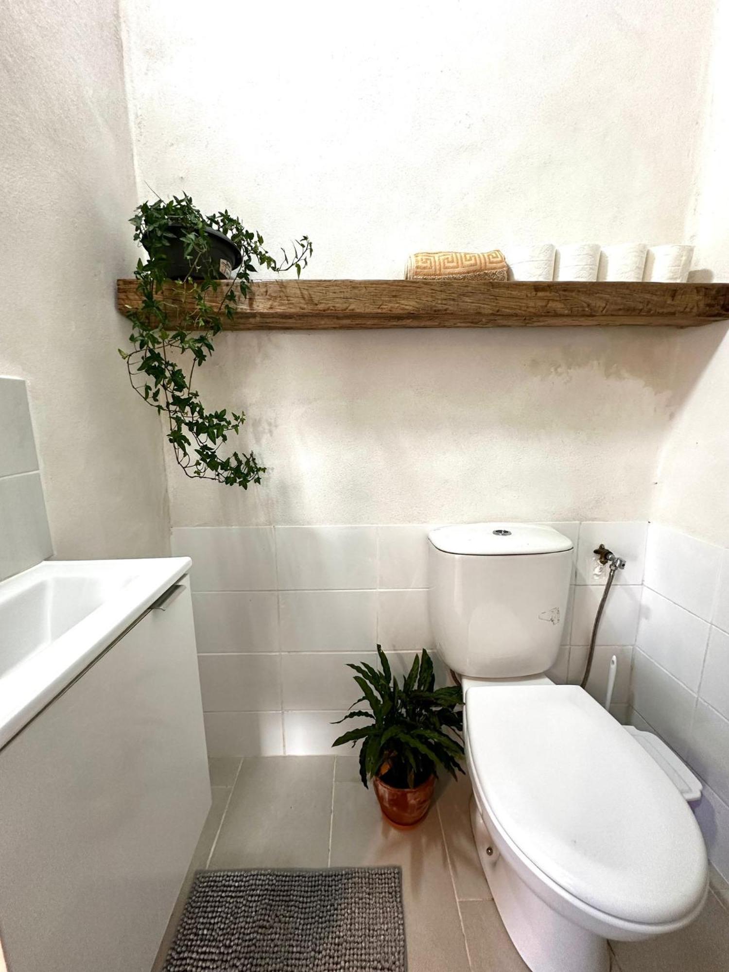 Tábua Casa Trilho The Gaios Bed & Breakfast エクステリア 写真