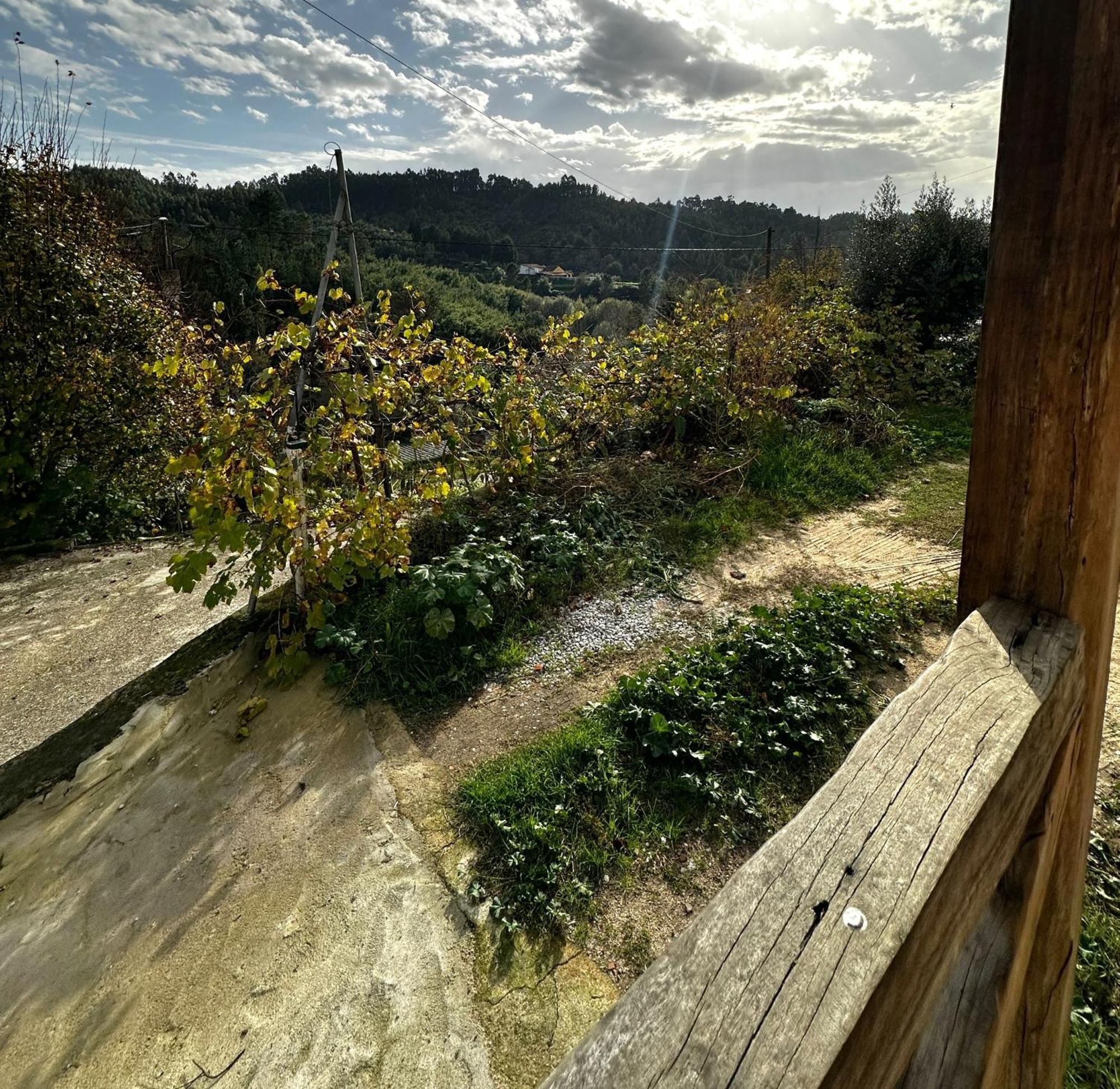 Tábua Casa Trilho The Gaios Bed & Breakfast エクステリア 写真