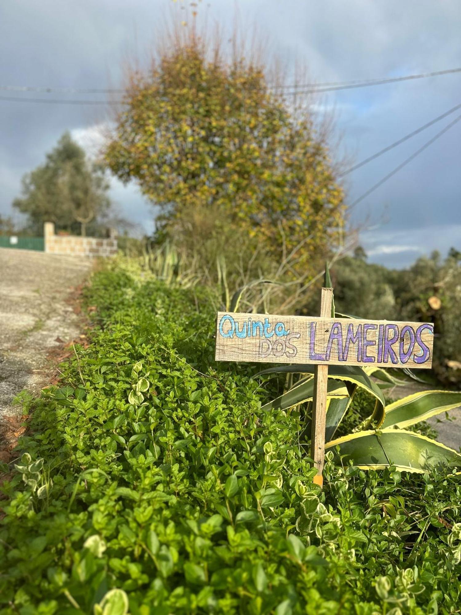 Tábua Casa Trilho The Gaios Bed & Breakfast エクステリア 写真