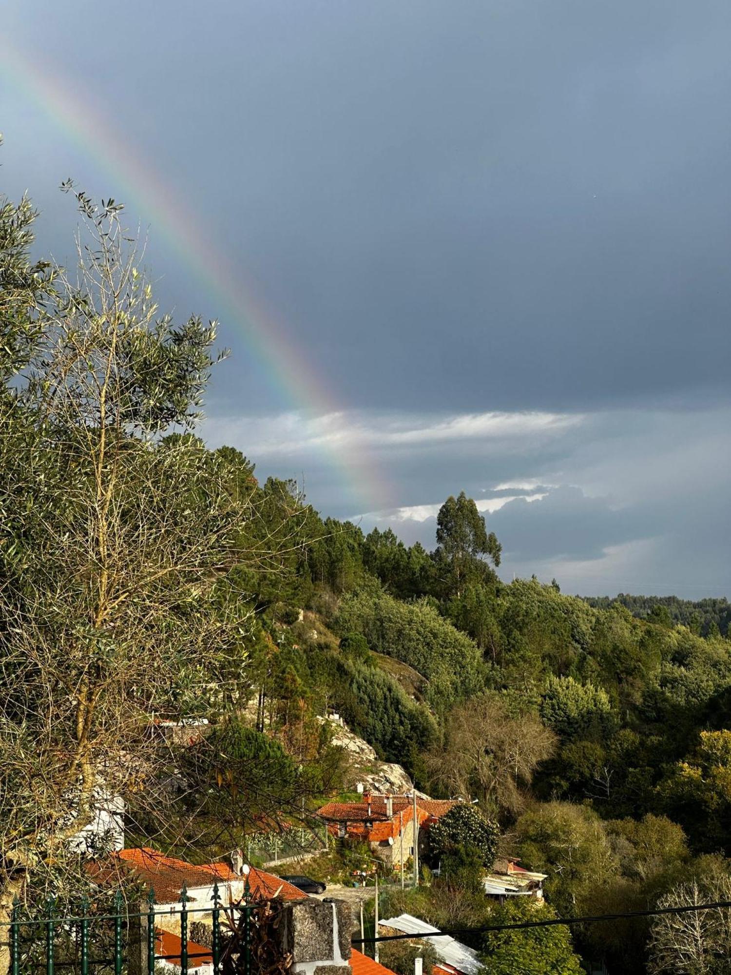 Tábua Casa Trilho The Gaios Bed & Breakfast エクステリア 写真