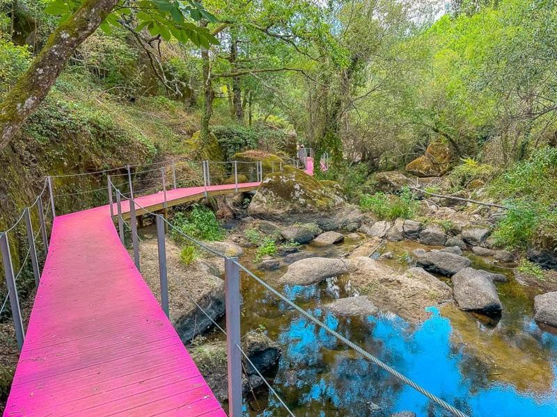 Tábua Casa Trilho The Gaios Bed & Breakfast エクステリア 写真