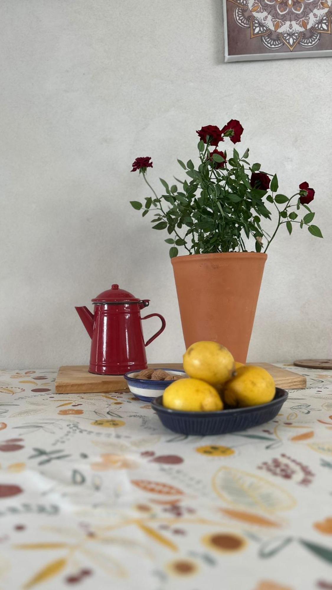 Tábua Casa Trilho The Gaios Bed & Breakfast エクステリア 写真