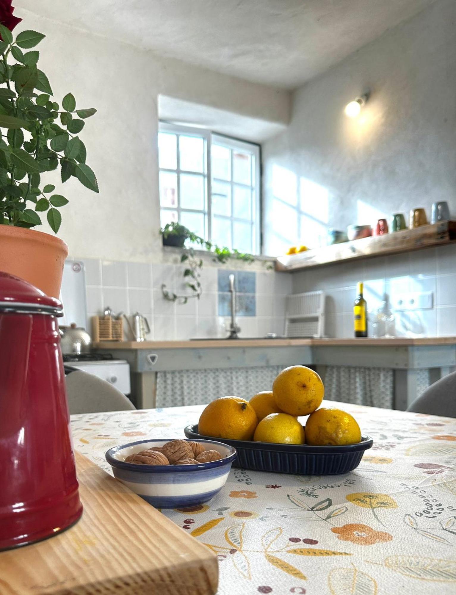 Tábua Casa Trilho The Gaios Bed & Breakfast エクステリア 写真