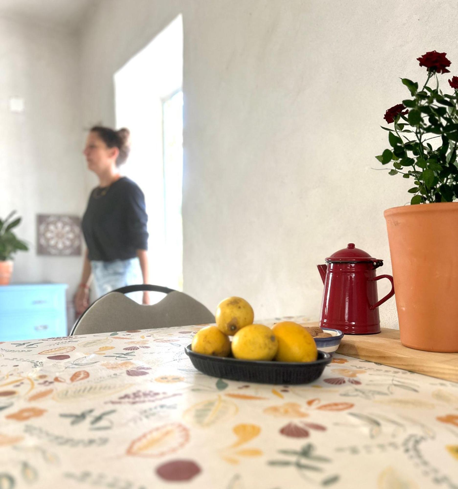 Tábua Casa Trilho The Gaios Bed & Breakfast エクステリア 写真